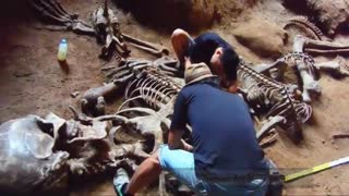 Giant Skeleton found at Khao Khanap Nam Cave (check out the links below the video)