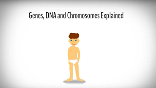 Genes, DNA and Chromosomes explained