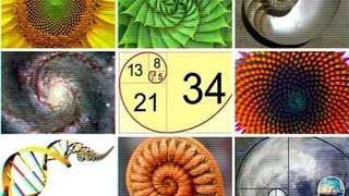 FIBONACCI SEQUENCE - PROVING GOD EXISTS IN 5 MINUTES