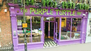 The Hidden Kappa/ "Purple Turtle" Bar