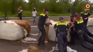 Dutch farmers 1 Dutch police 0