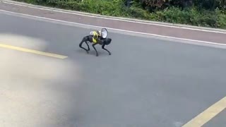 A robot dog patrols the empty streets of Shanghai in China with a loudspeaker. COVID