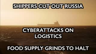 Shippers Cut Off Russia - Wheat Price Explodes - Cyberattacks on Shipping