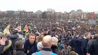 Massive crowd gathers for medical freedom in Amsterdam, Netherlands.