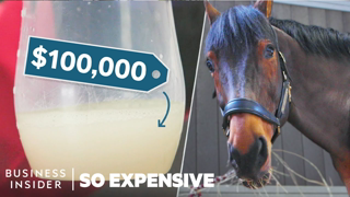 Why Horse Semen Is The Worldâ€™s Most Expensive Liquid | So Expensive