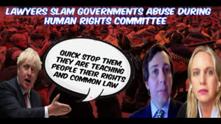 LAWYERS TELL HUMAN RIGHTS COMMITTEE THE GOVERNMENT HAS BREACHED OUR HUMAN & COMMON LAW RIGHTS.