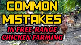 COMMON MISTAKES IN FREE-RANGE CHICKEN FARMING