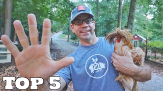 Top 5 Mistakes NEW Chicken Owners Make (Don't Do Like We Did)