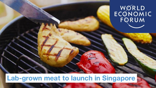 Lab-grown meat approved for sale in Singapore | World Economic Forum