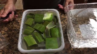 How to remove the poison from aloe leaves to make edible and for freezing