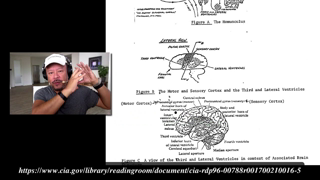 CIA Analysis And Assessment Of Gateway Process - Declassified Part Two