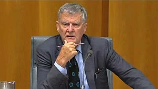 Bill Heffernan speech paedophiles in parliament