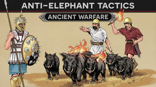 Flaming Pigs and Anti-Elephant Tactics DOCUMENTARY