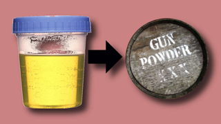 Gunpowder was made from Women's Urine (Pee) during the Civil War - Saltpeter or Potassium Nitrate