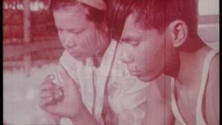 Farming in Thailand, 1960's - Film 85052