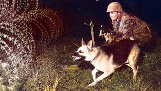 The Secret Vietnam War Dogs