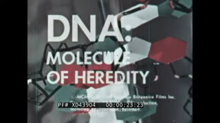 " DNA: MOLECULE OF HEREDITY "  1960 ENCYCLOPEDIA BRITANNICA BIOLOGY / GENETICS FILM XD43904