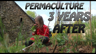 PERMACULTURE - May 2019 - 3 YEARS AFTER