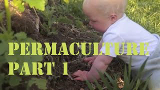 Notre ferme en permaculture Partie 1 - Our permaculture farm part 1