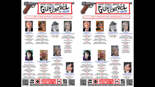 GUN CONTROL IS JEWISH [HALFSHEET]-01 (3)