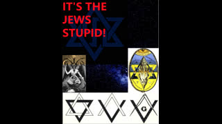 Curt Maynard and several other authors - It's the Jews Stupid Collection Compilation