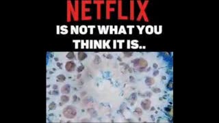 NETFLIX IS DANGEROUS JEWISH MASS MIND CONTROL â€“ CONTINUING FREUDS (FRAUDS) LEGACY OF DEGENERACY