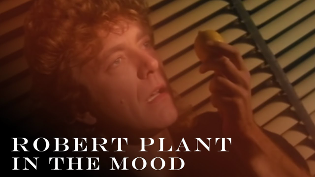 Robert Plant In The Mood Official Video Hd Remastered Goyimtv Robert Plant In The Mood Official Video Hd Remastered Goyimtv