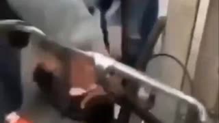 African Invaders Beat Innocent German Boy