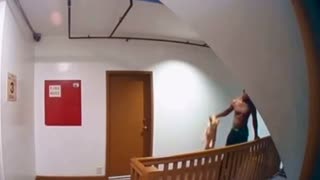 Piece Of Shit Nig Throwing A Dog Down Flights Of Stairs