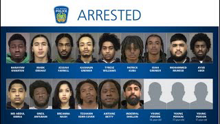 CAUGHT ON CAMERA: Cops arrest 18 in home invasions, robberies and carjackings