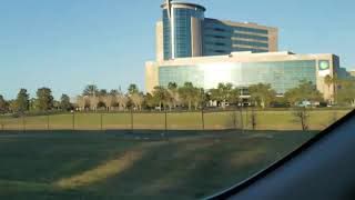 Intactivist Billboard on I-95 in Daytona Beach, Florida