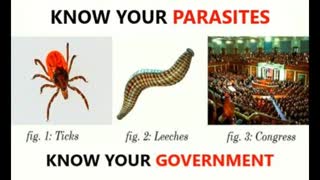 Governments are parasites. Countries topple because of greed and fear (Have we already fallen?)