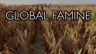 Global Famine: Why? Bioengineered Tiny Humans for a Zero Carbon Future