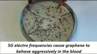 THIS IS HOW GRAPHENE REACTS WHEN EXPOSED TO 5G ELECTROMAGNETIC DISCHARGES