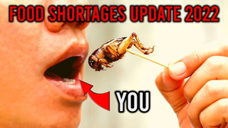 They Want YOU to Eat Bugs | Food Shortages 2022 | Coming Food Shortages 2022