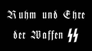 Stahlgewitter - Ruhm und Ehre der Waffen SS