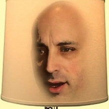 JohnyGreenRatTheSkinLampshade