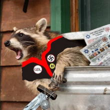 trashpanda