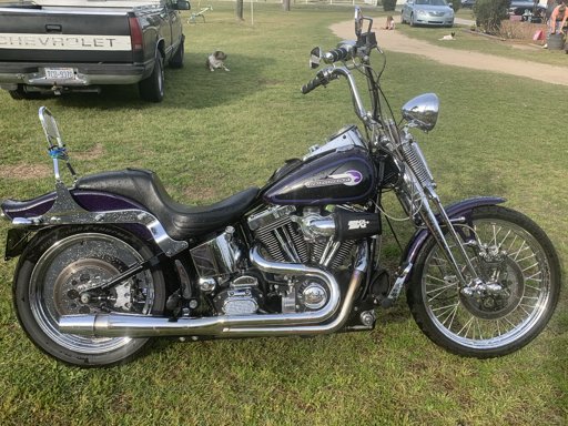 Rooster1003