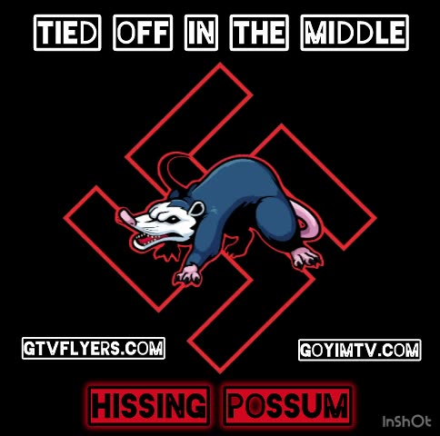 TIED OFF IN THE MIDDLE - HISSING POSSUM