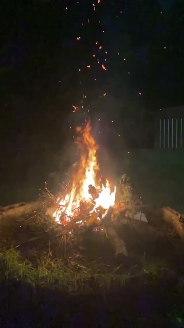 Return to the forest - Nazario Ai